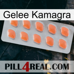 Jelly Kamagra 26